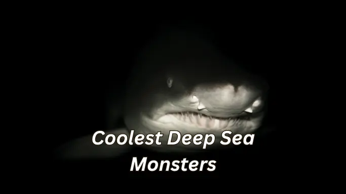 Giant deep sea monsters