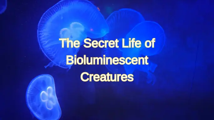 The Secret Life of Bioluminescent Creatures