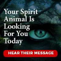 Your spirit animal is looking for you today